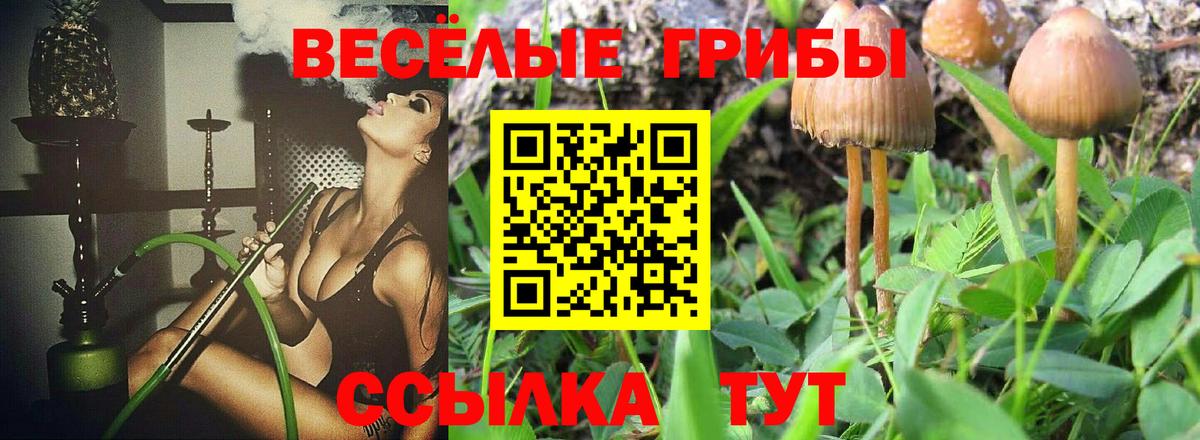 Уварово  Псилоцибиновые грибы Magic Shrooms  Вход с VPN 