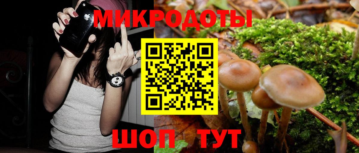 Псилоцибиновые грибы Psilocybine cubensis Уварово